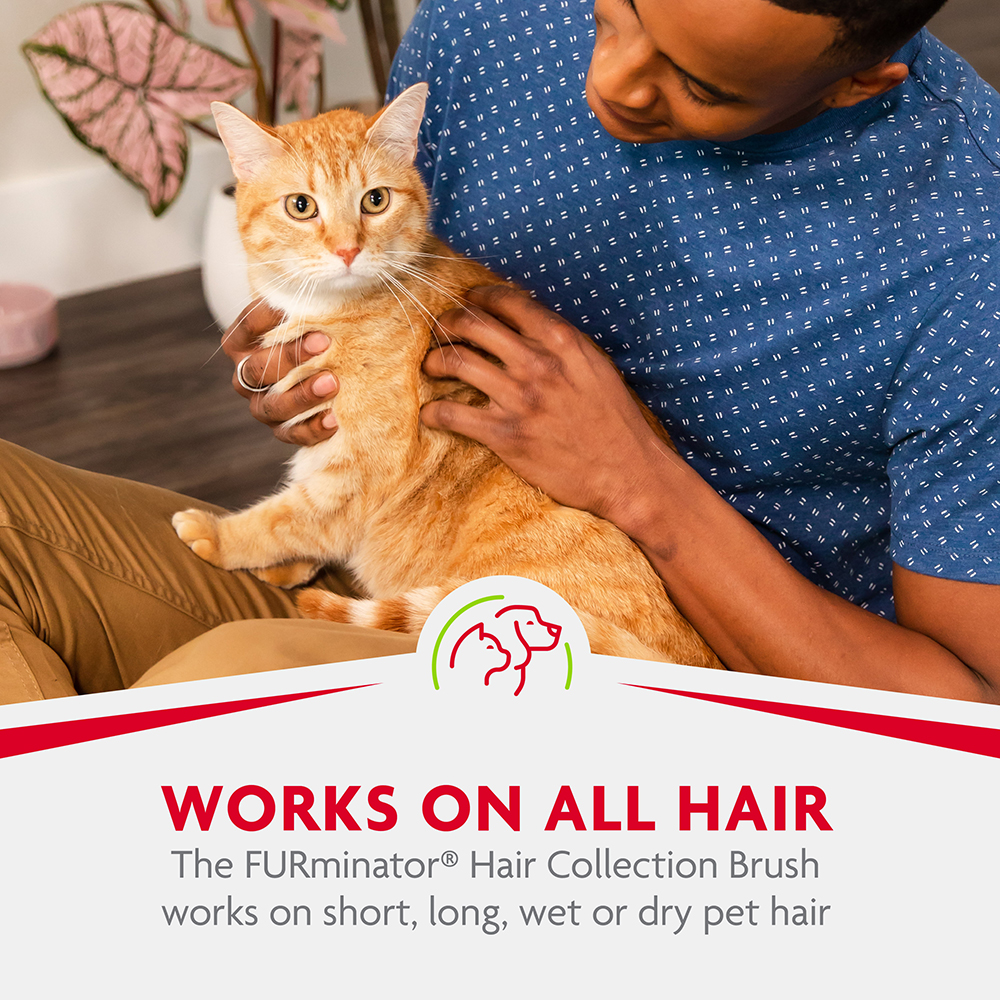 Furminator cat deals brush reviews